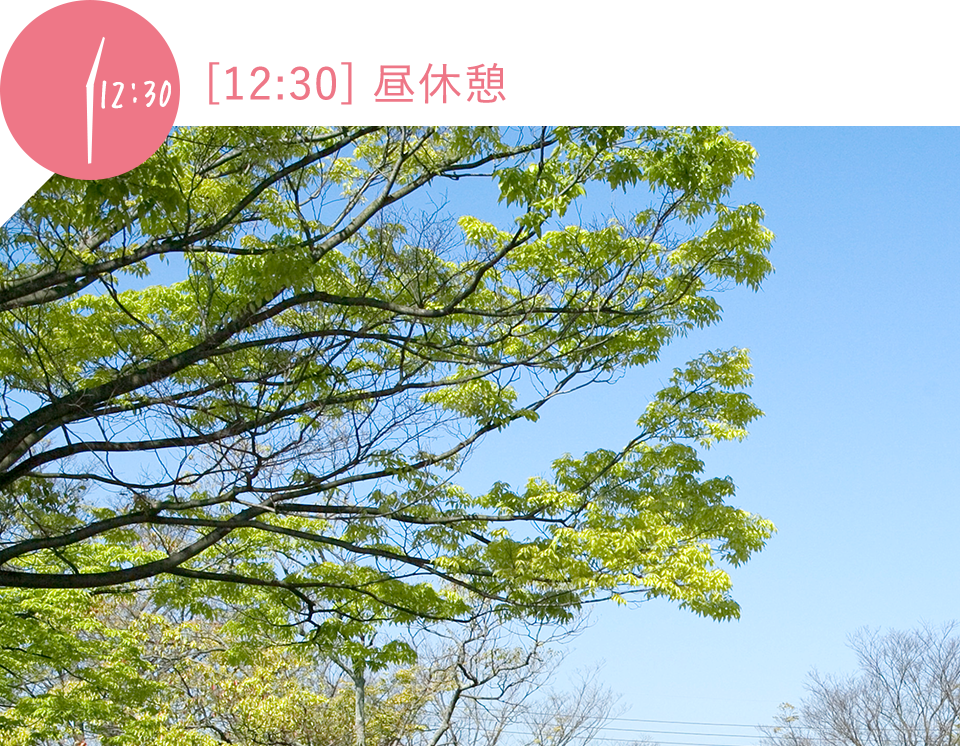 12時30分 昼休憩